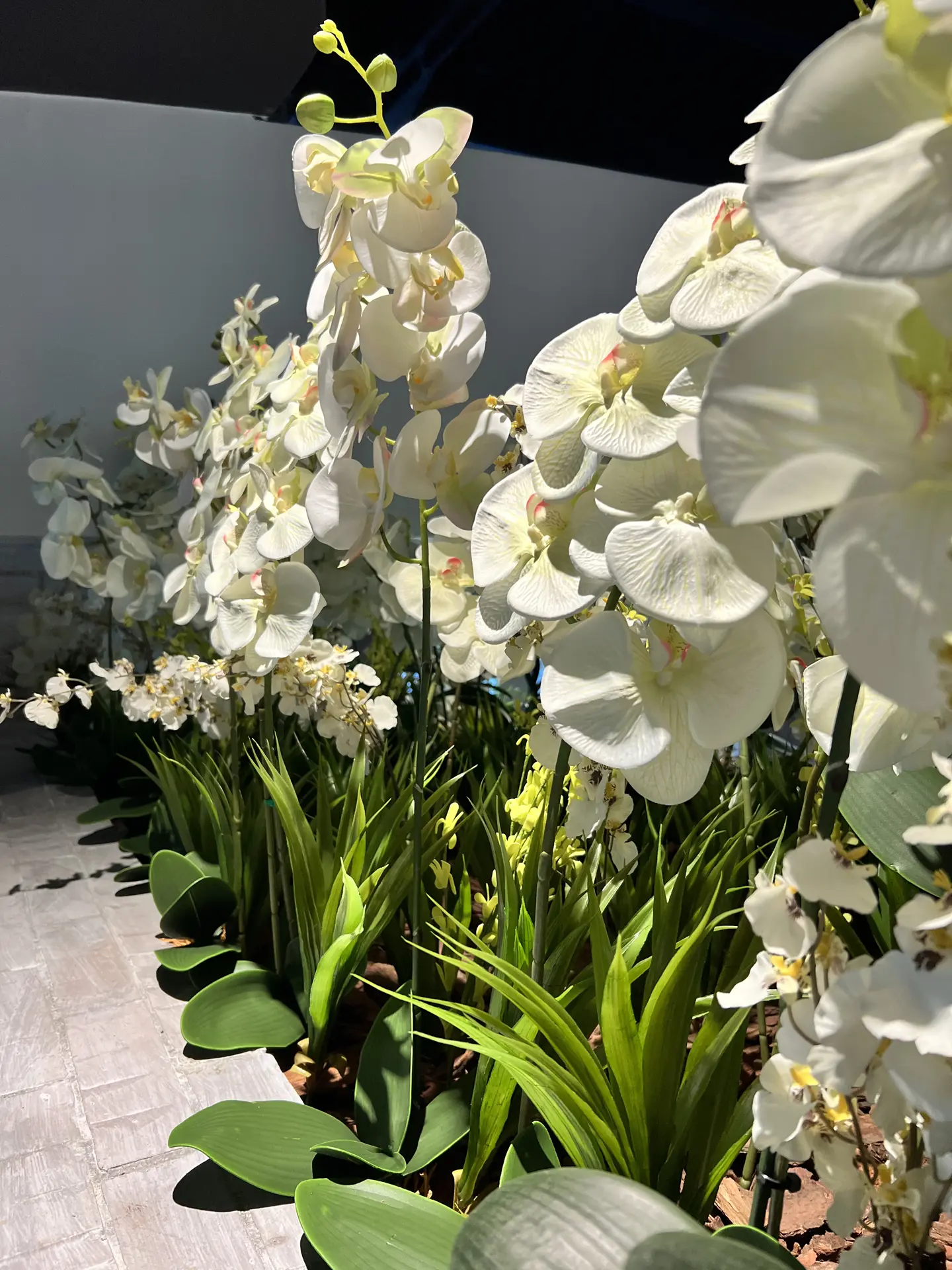 Decoracion Verde Variada en Mueble