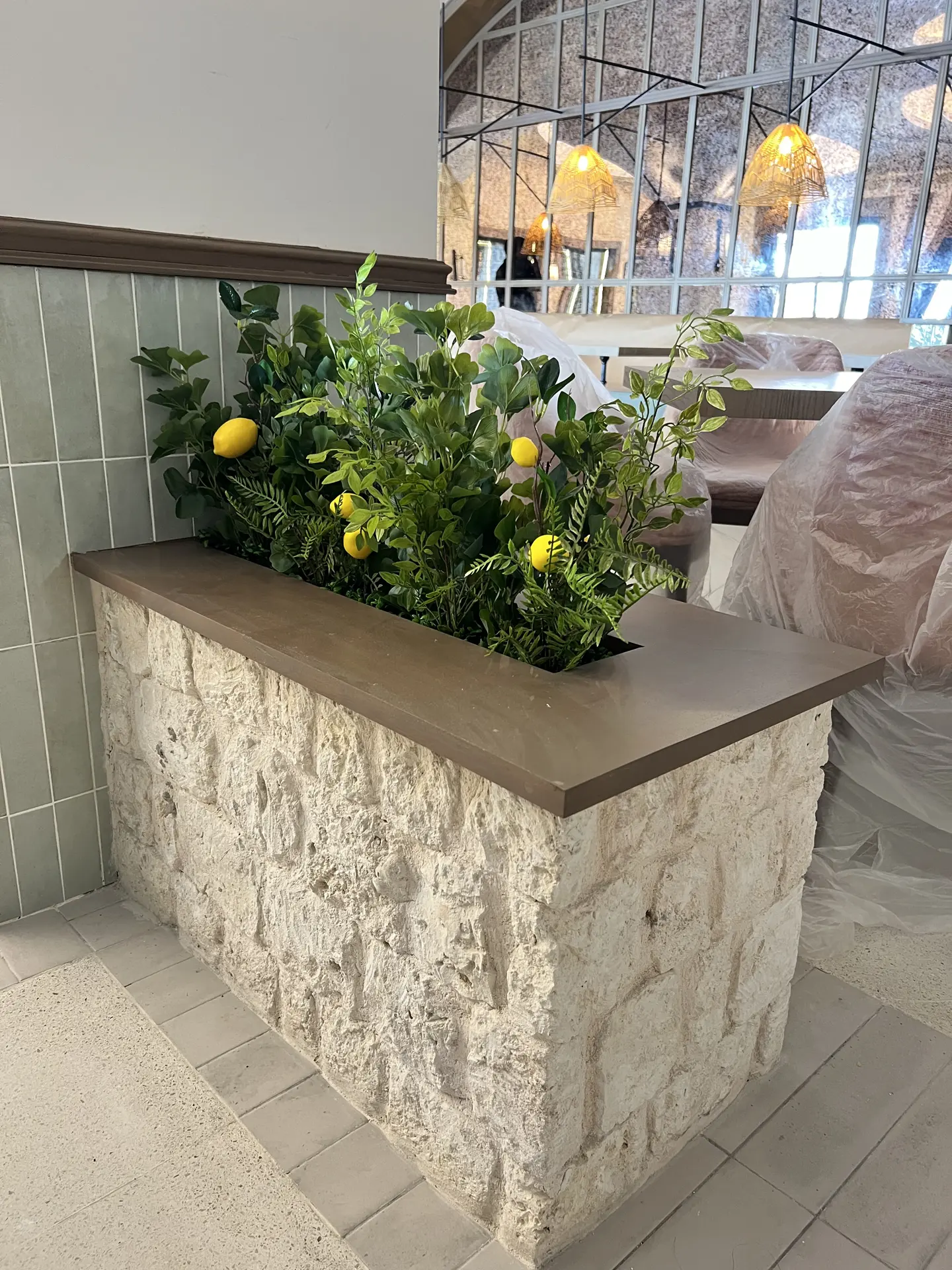 Decoracion Verde Variada en Mueble