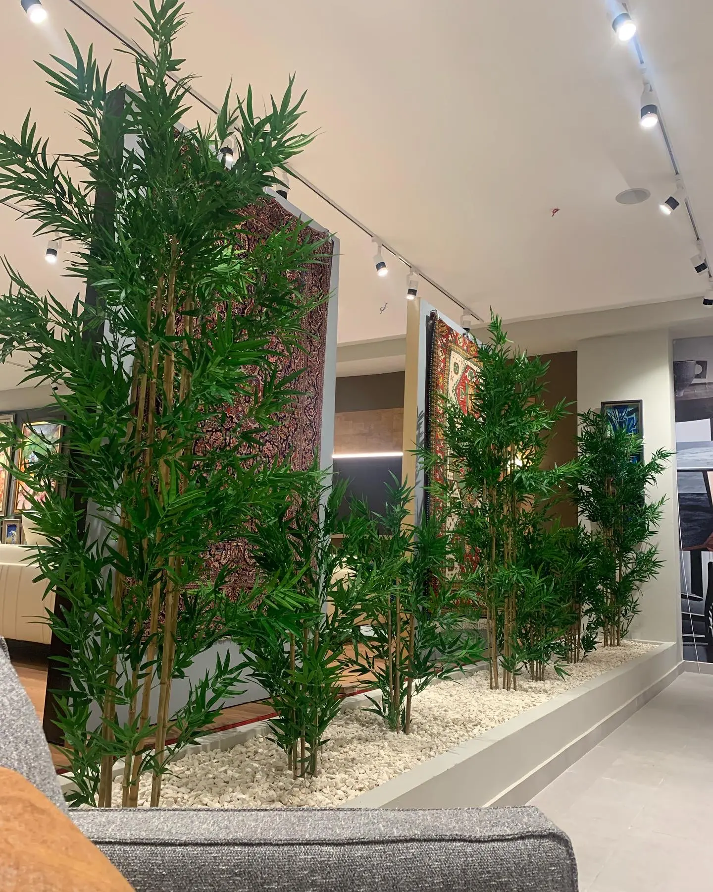 Decoracion Verde Variada Remodelacion de Jardinera