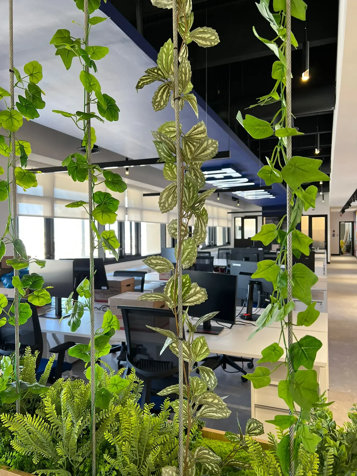 Decoracion Verde Variada en Mueble