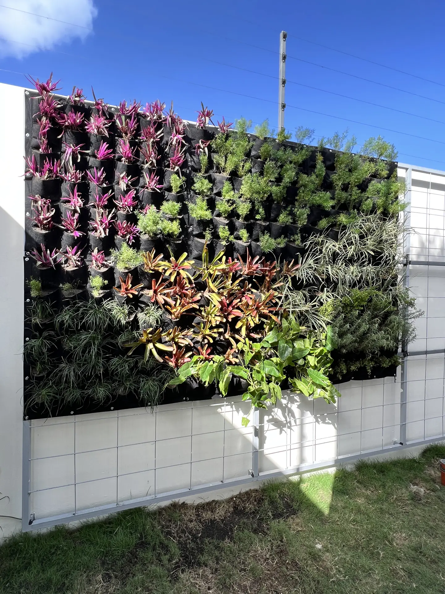 Jardín Vertical Natural