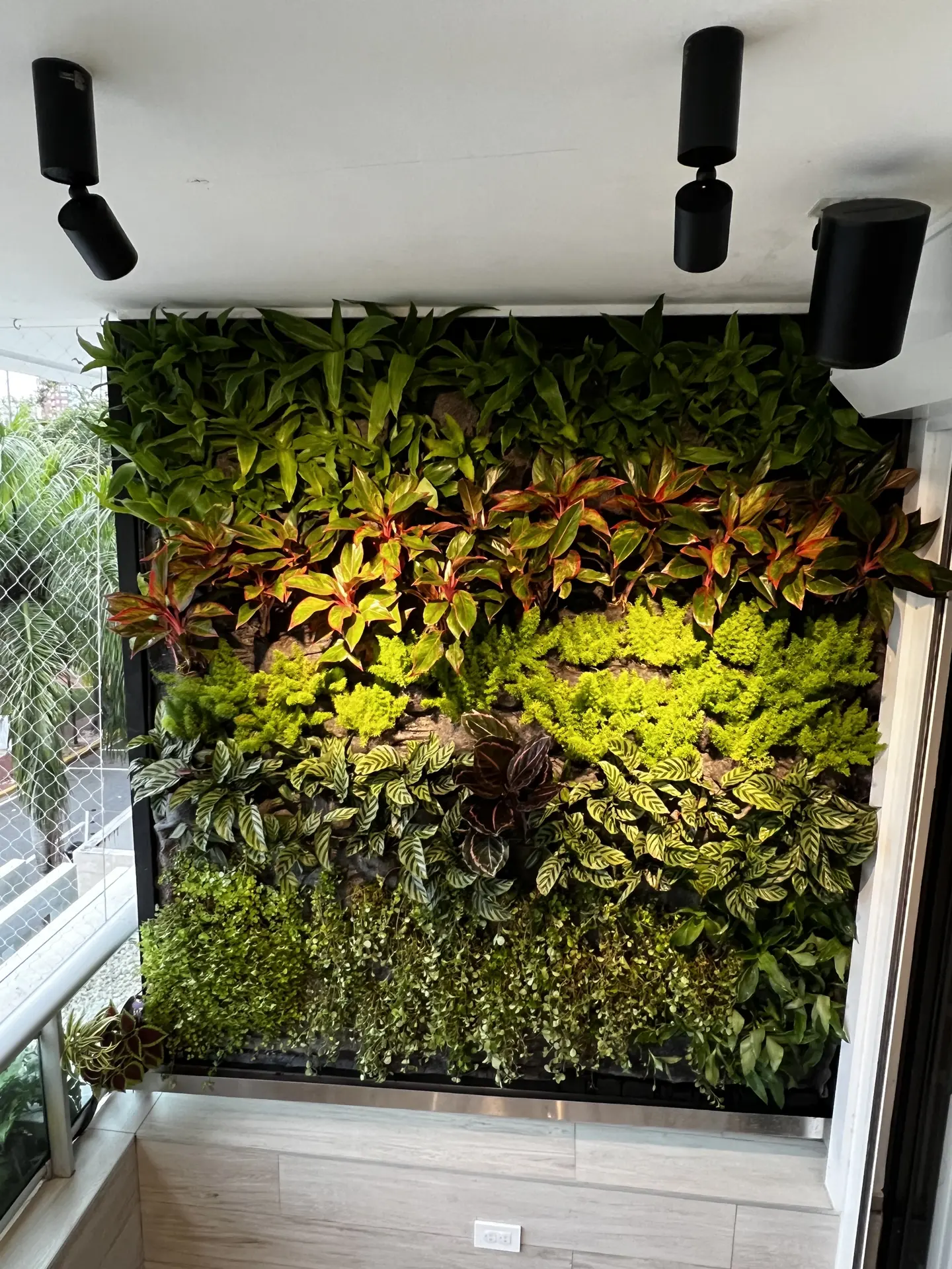 Jardín Vertical Natural