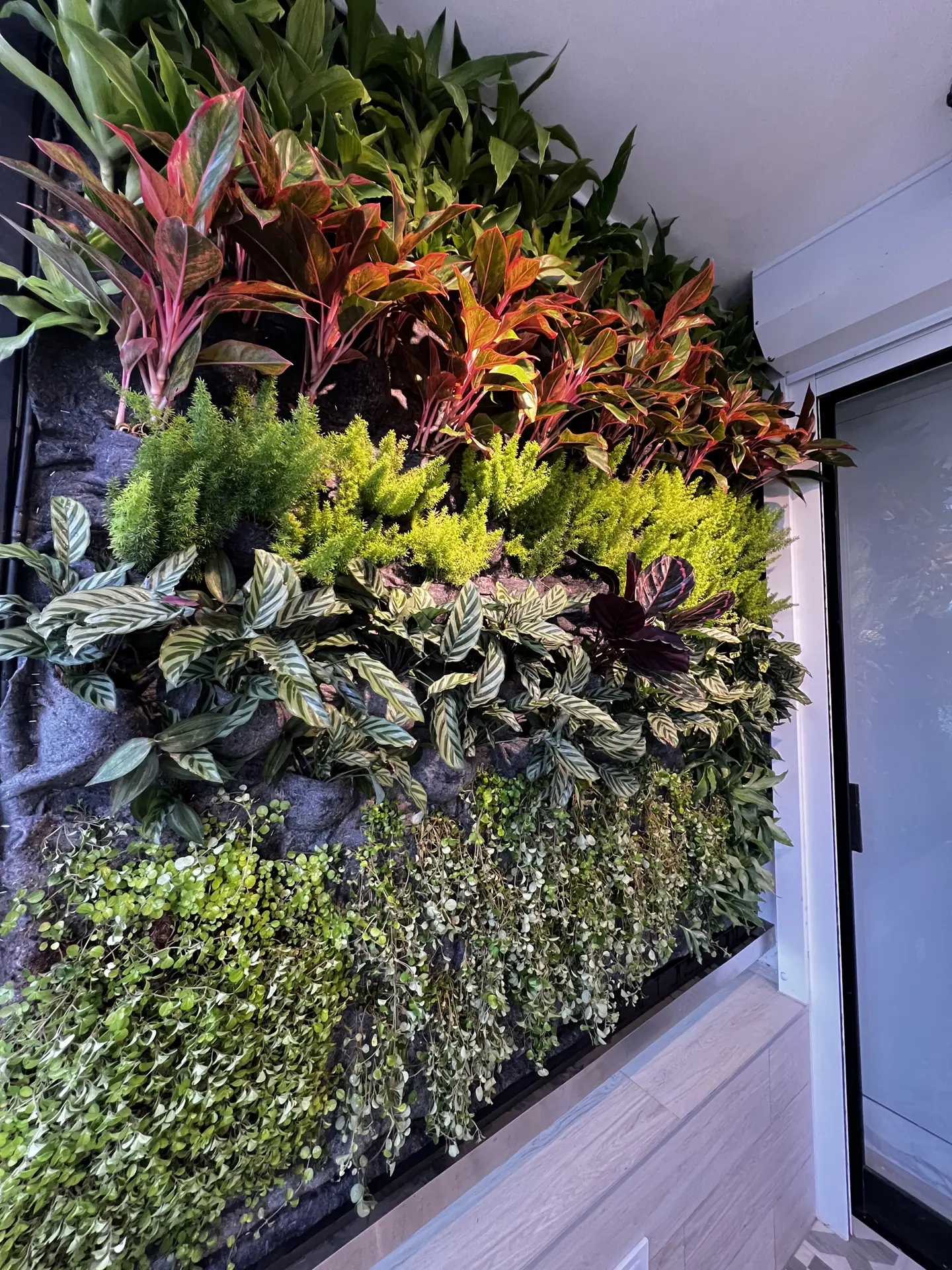 Jardín Vertical Natural