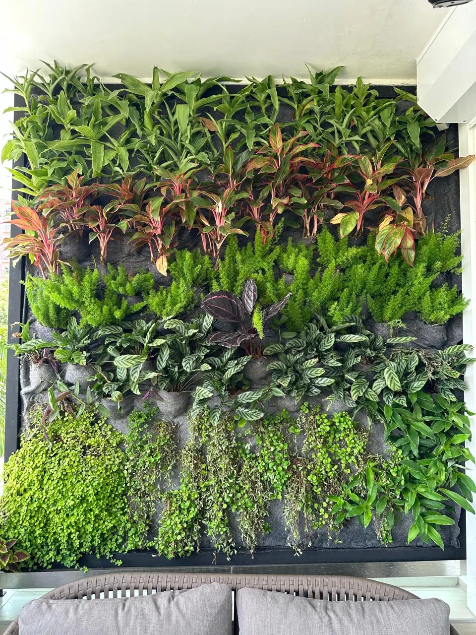 Jardín Vertical Natural