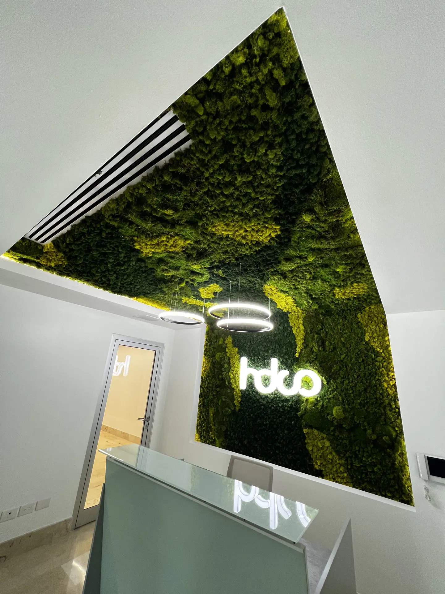 Jardin Vertical Musgo Preservado con Techo