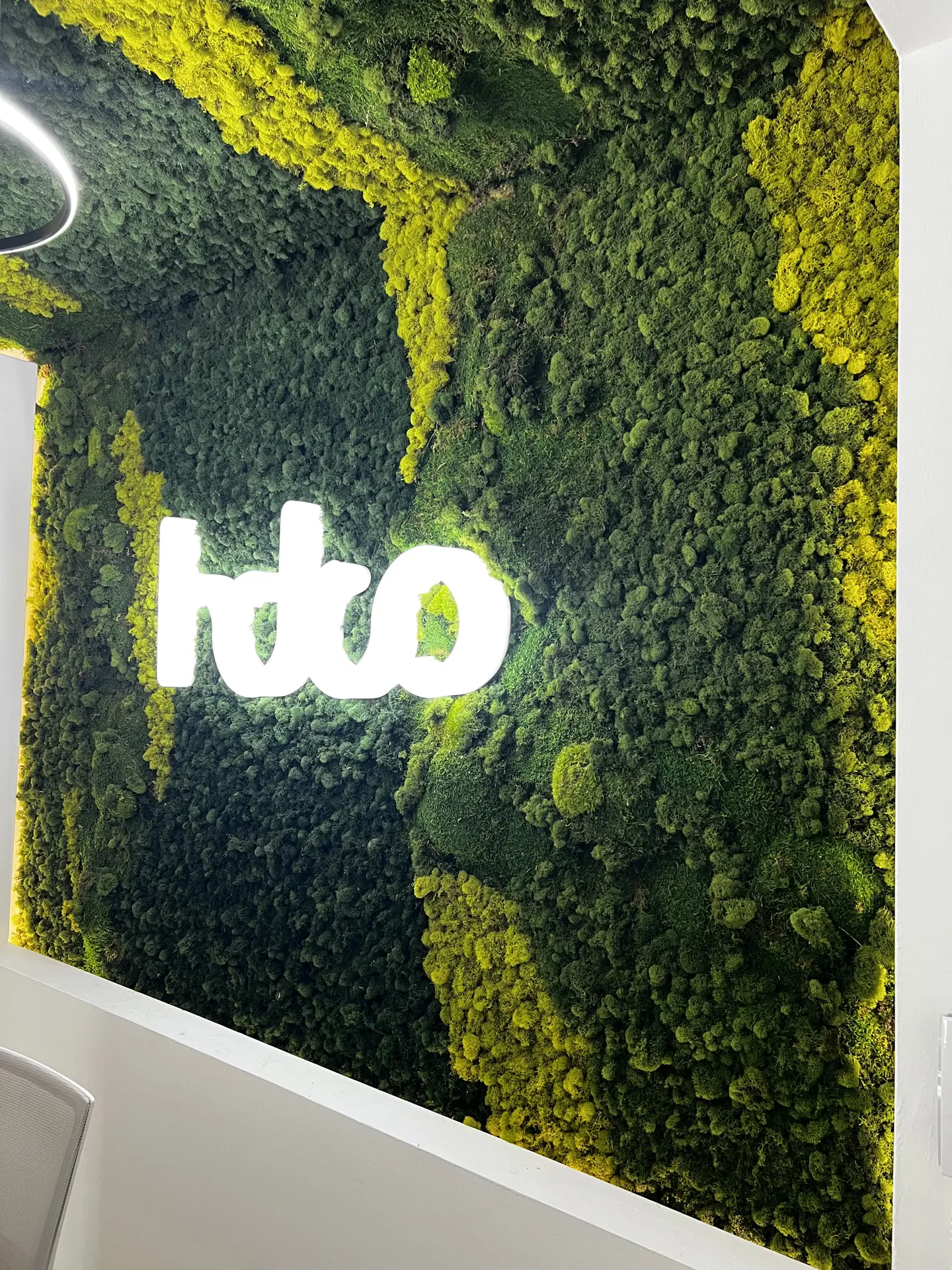 Jardin Vertical Musgo Preservado con Techo