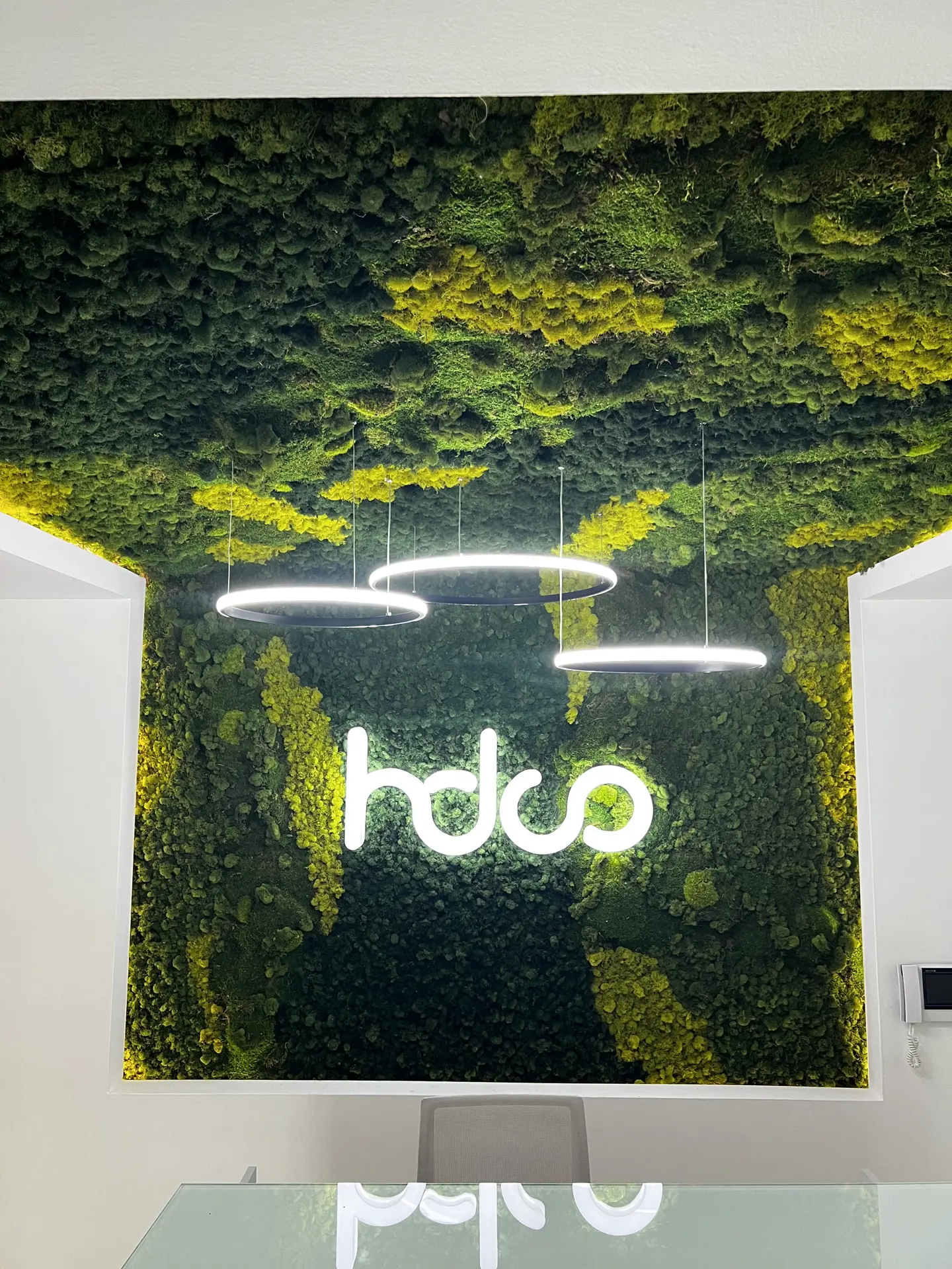 Jardin Vertical Musgo Preservado con Techo