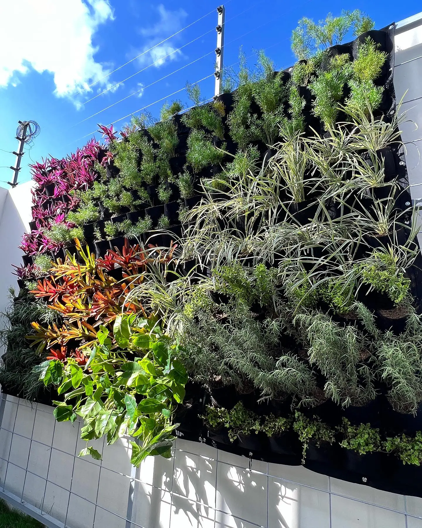 Jardín Natural Vertical