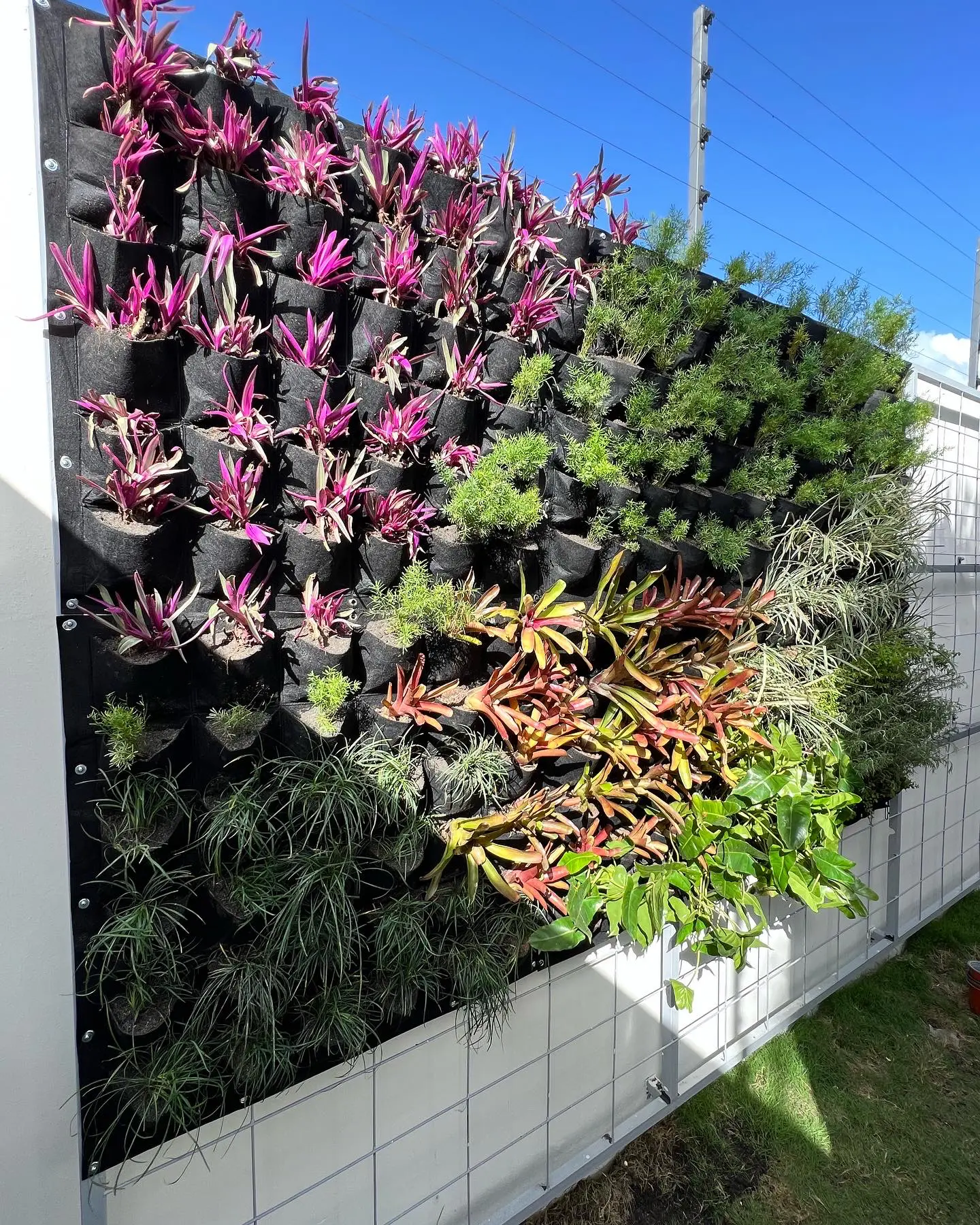 Jardín Natural Vertical