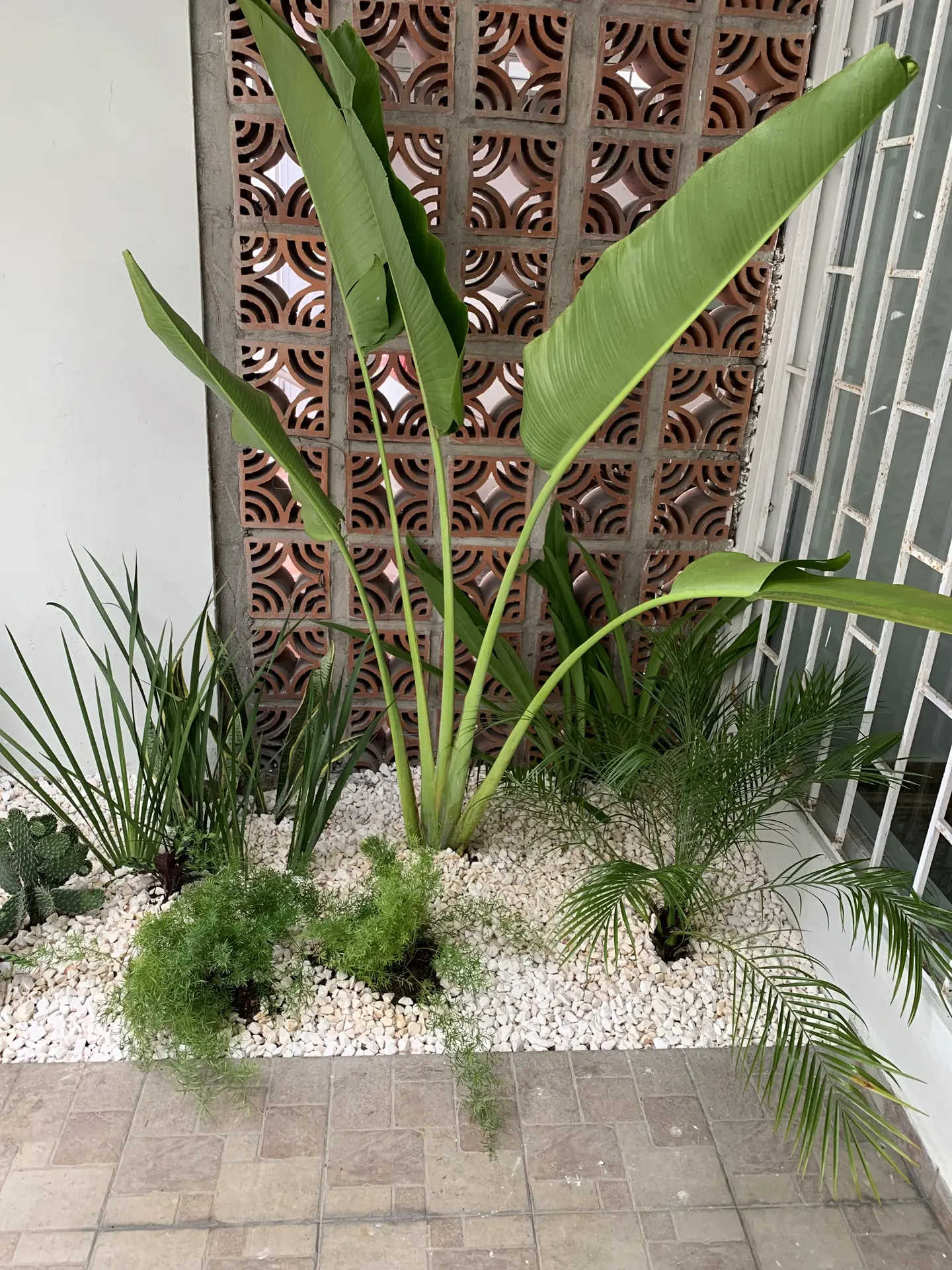 Paisajismo Natural General