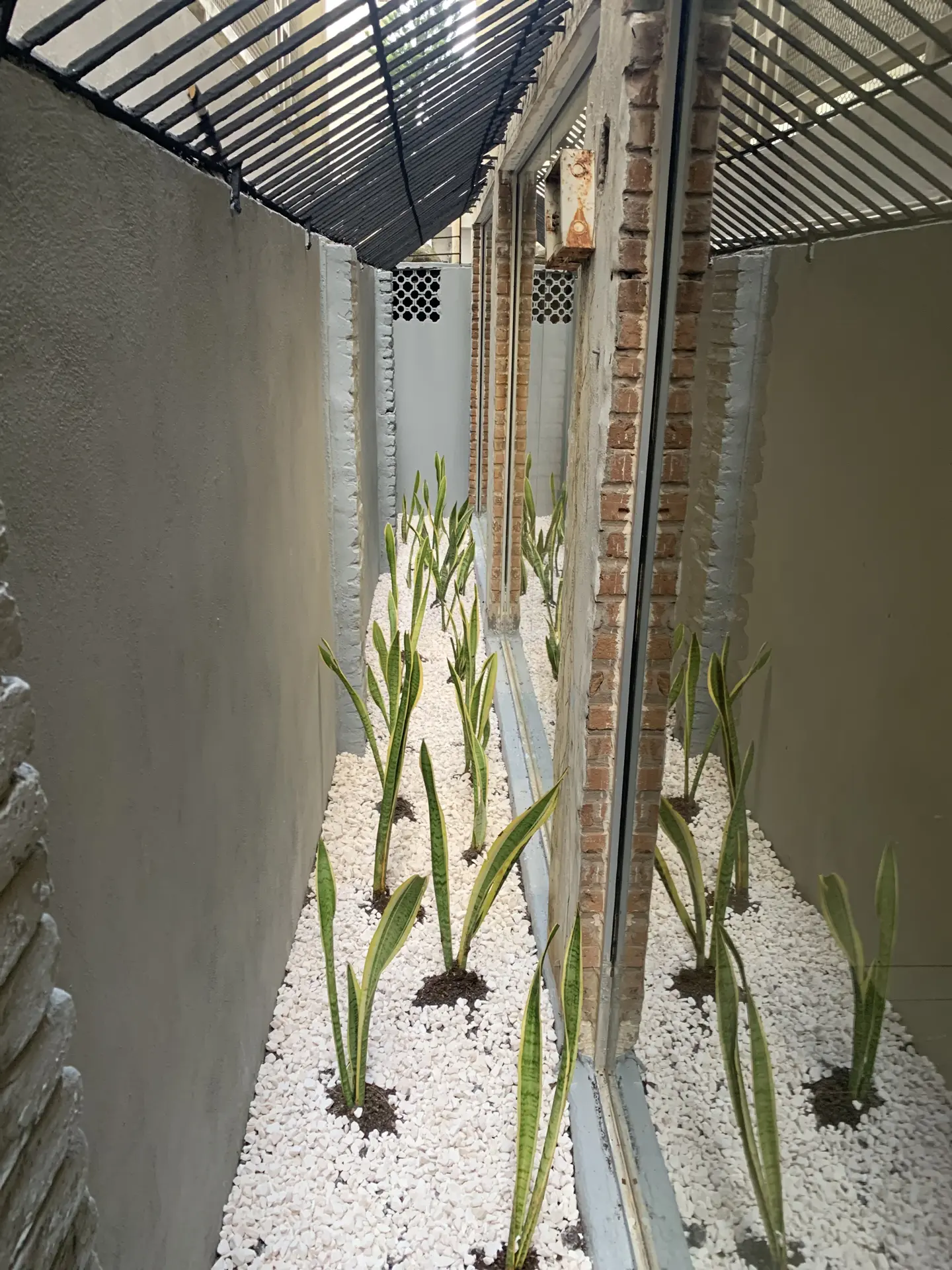 Paisajismo Natural General