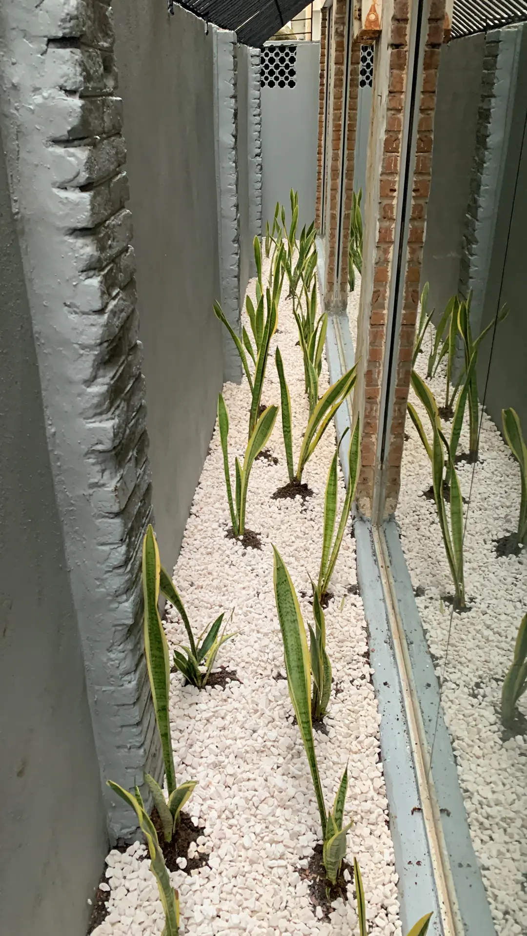 Paisajismo Natural General