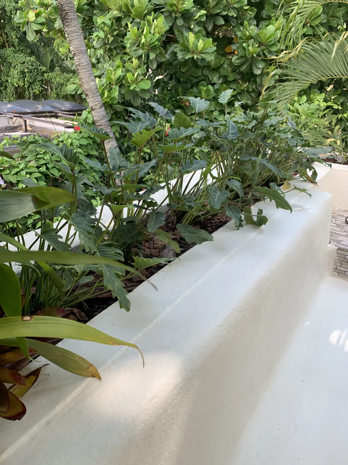 Paisajismo Natural General