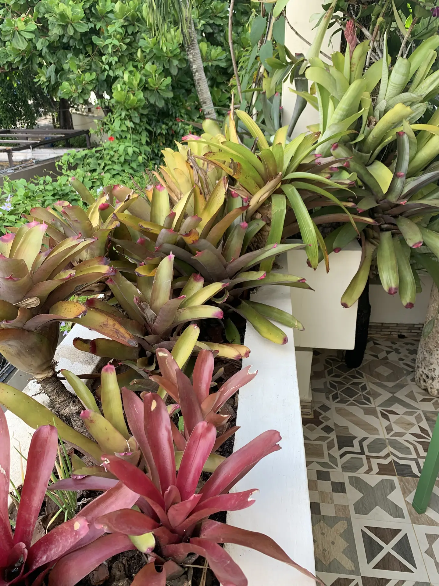 Paisajismo Natural General