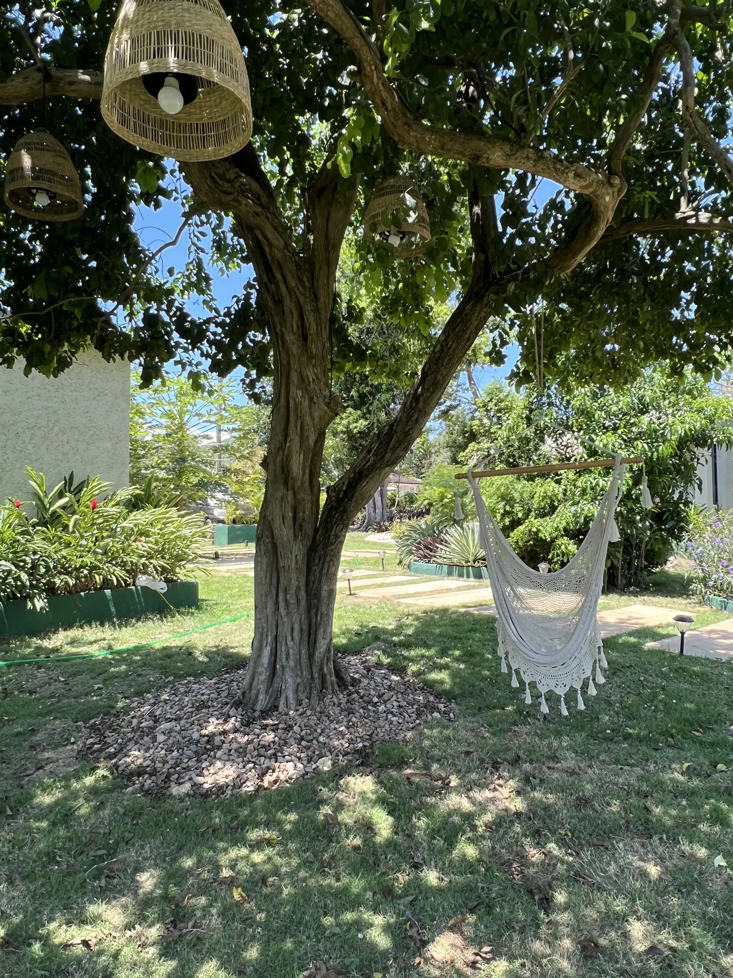 Paisajismo Natural General