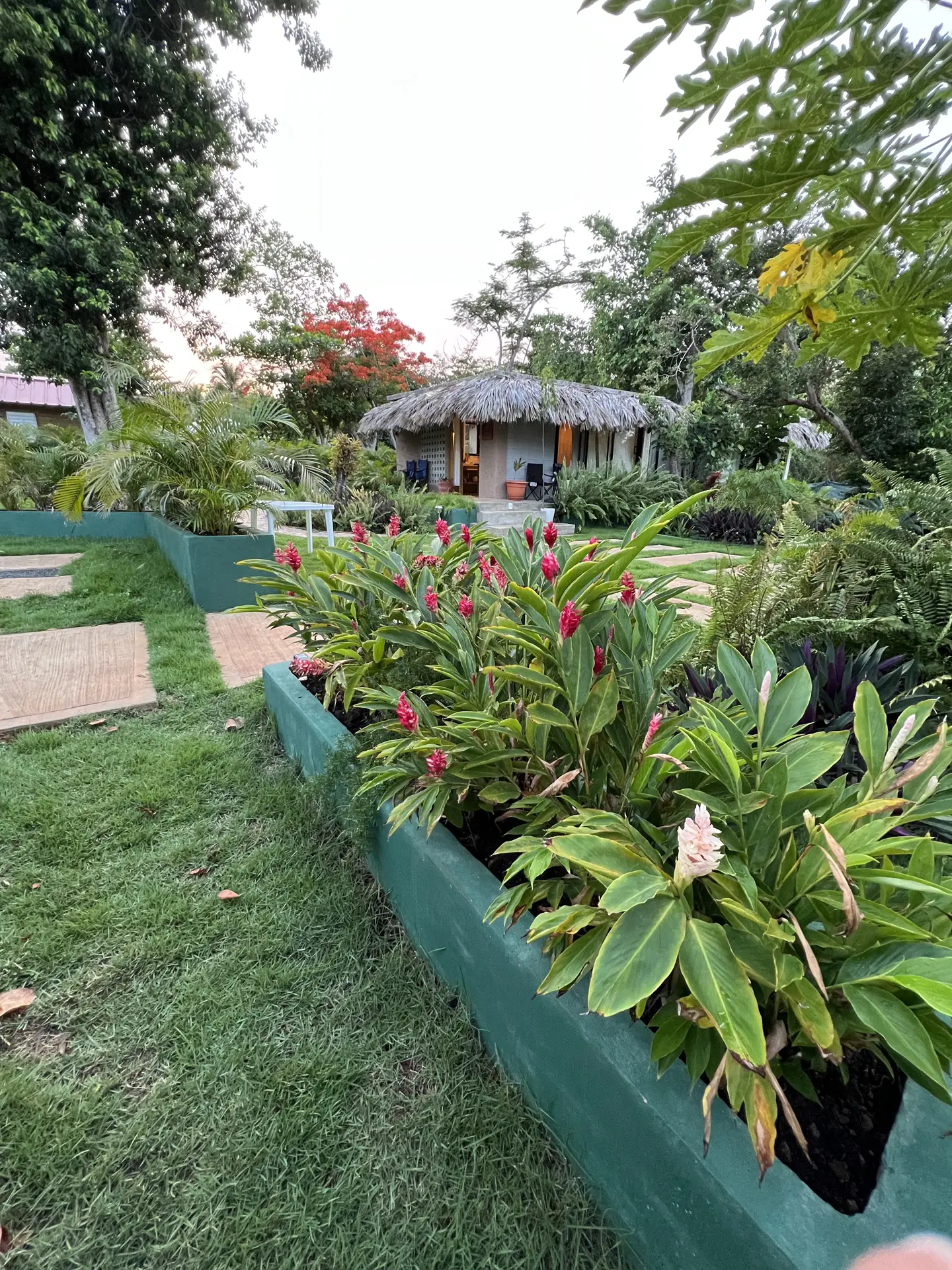 Paisajismo Natural General