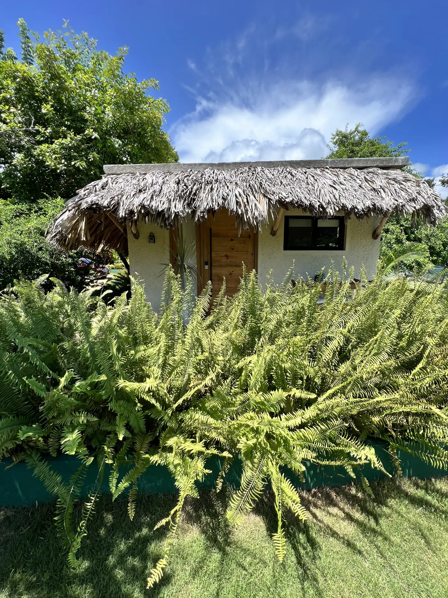 Paisajismo Natural General