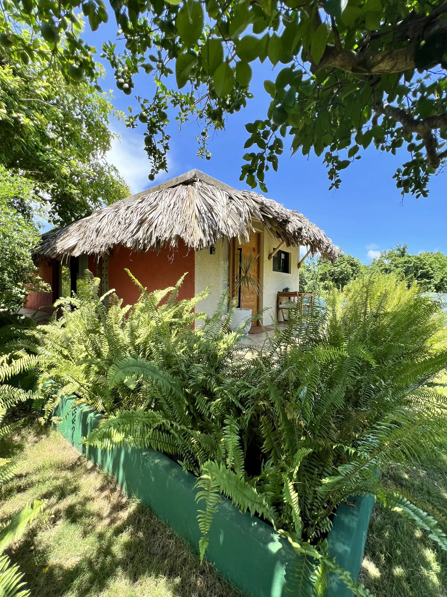 Paisajismo Natural General