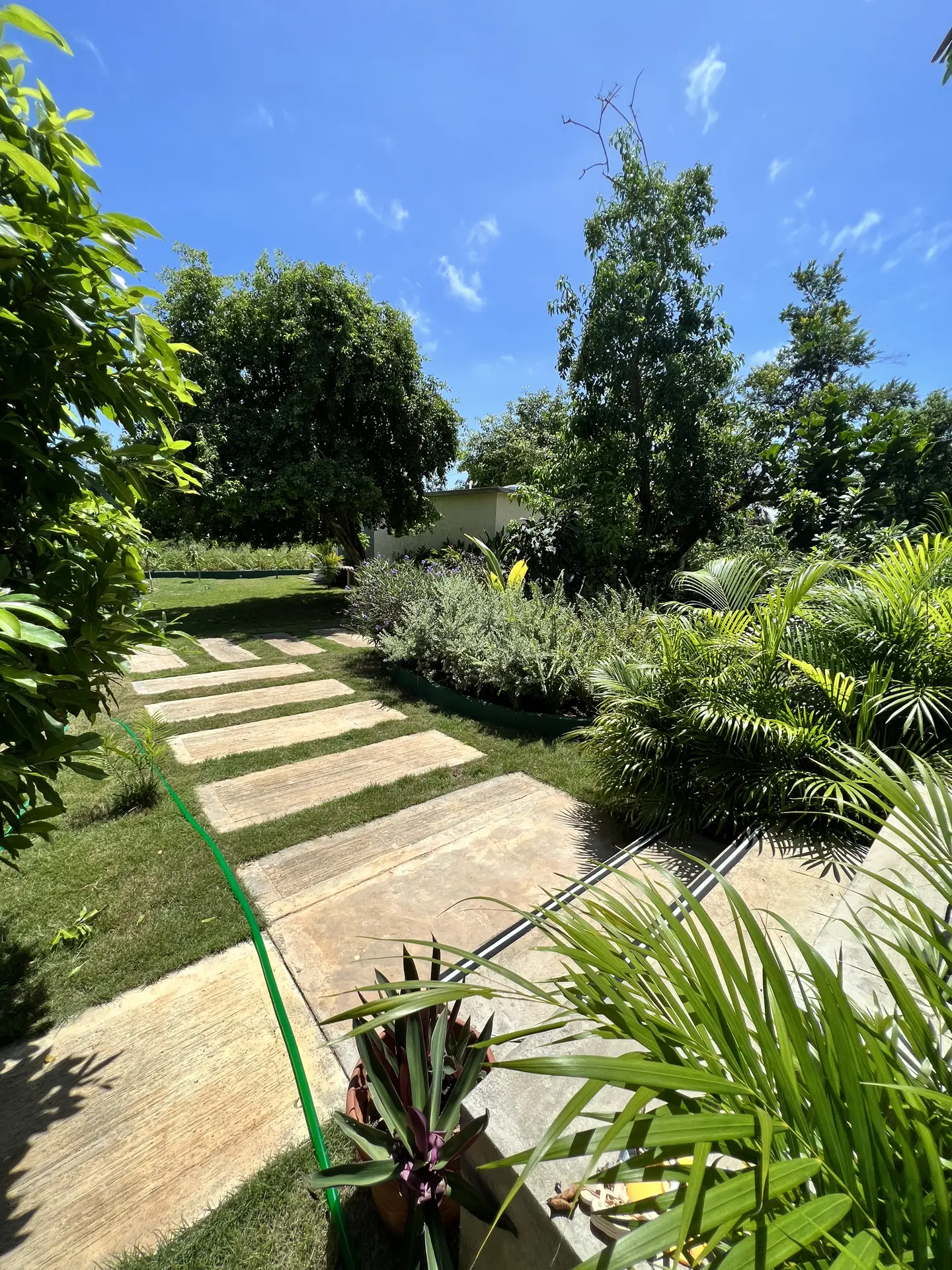 Paisajismo Natural General