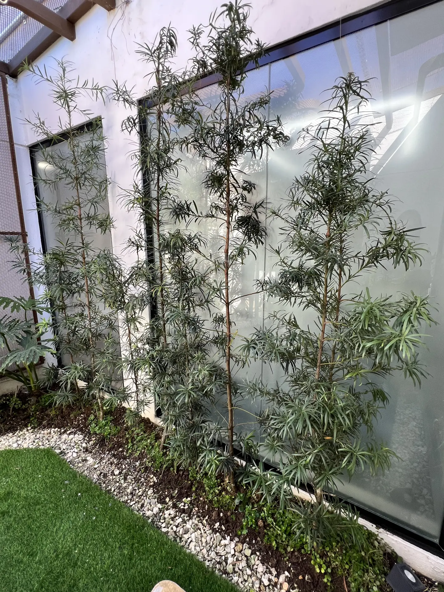 Paisajismo Natural General