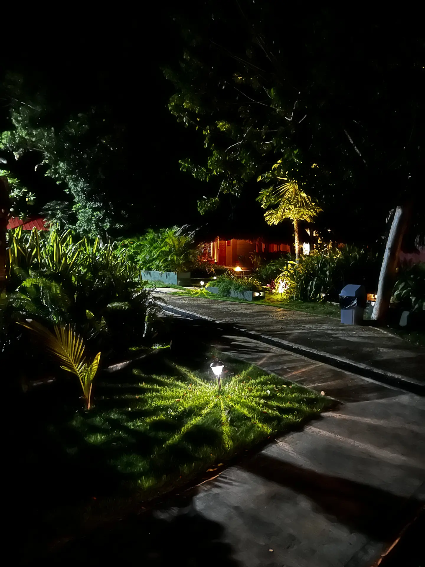 Paisajismo Natural General