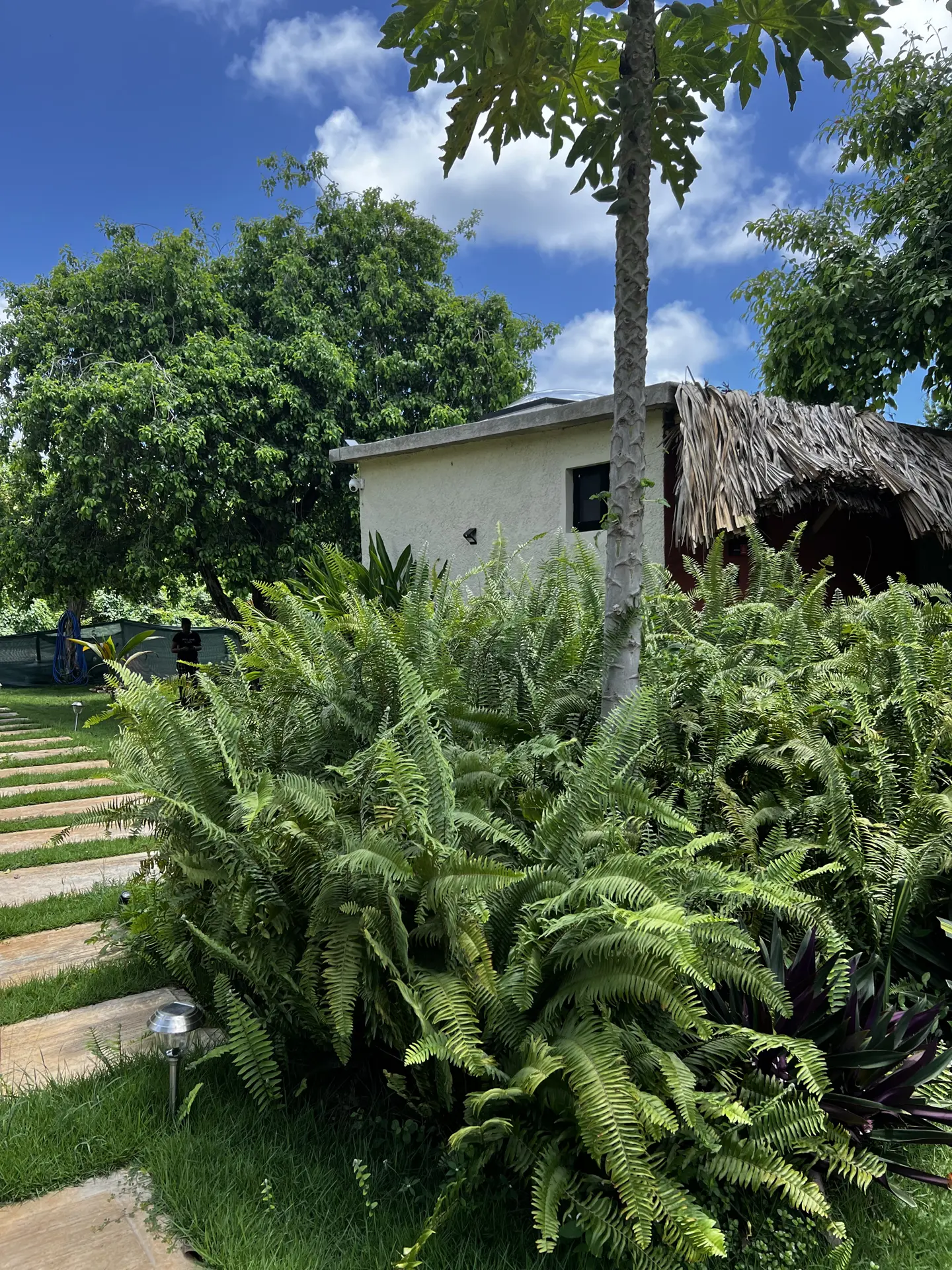 Paisajismo Natural General