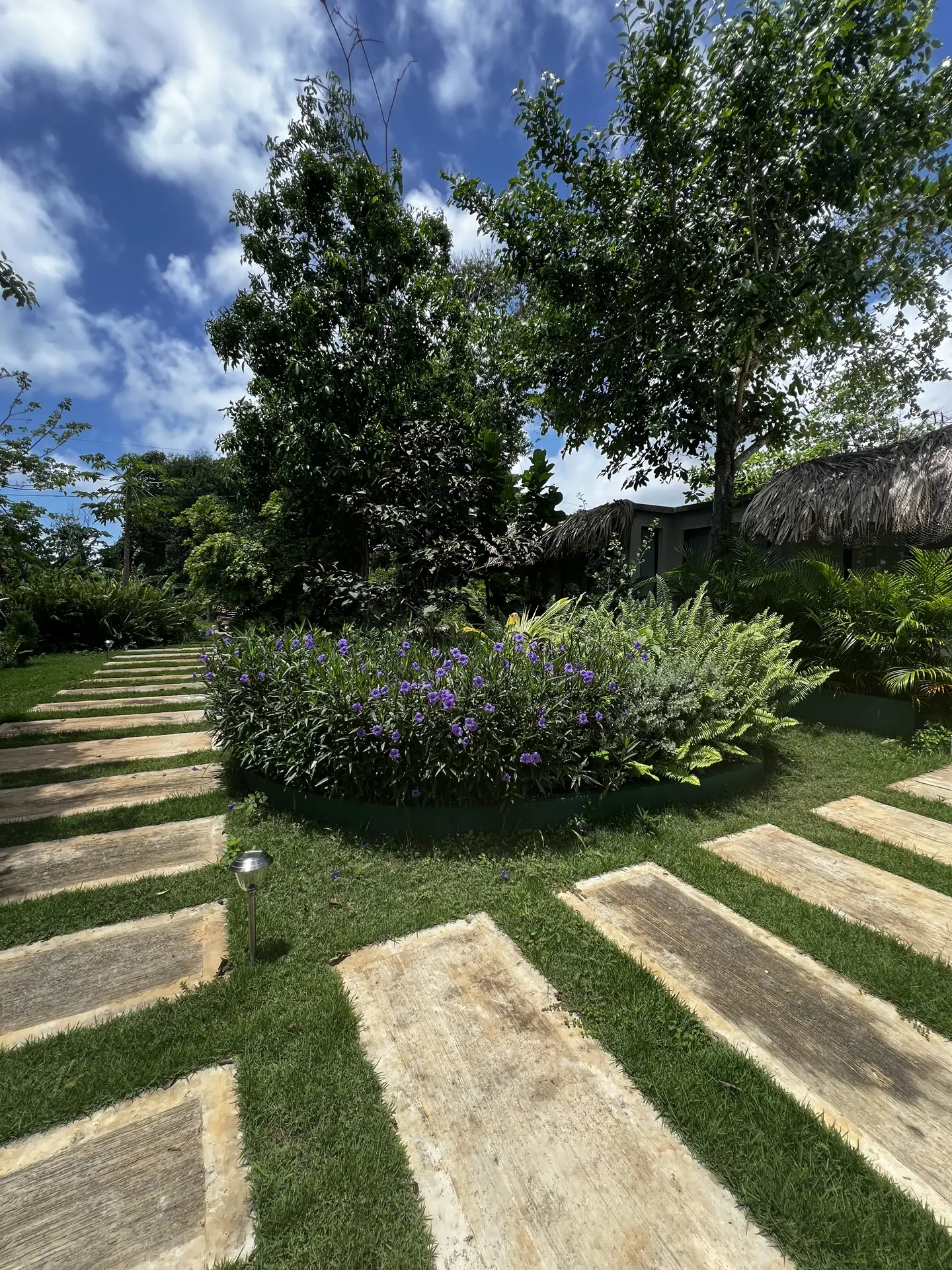 Paisajismo Natural General