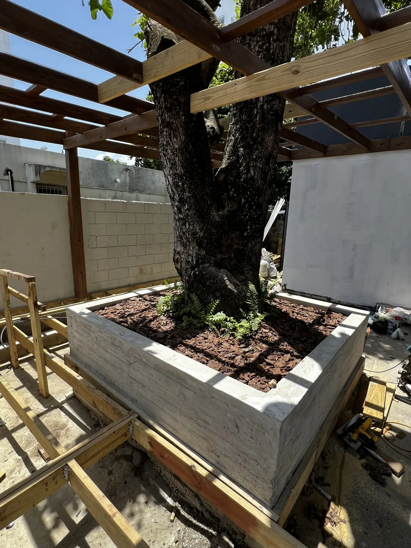 Paisajismo Árbol Natural