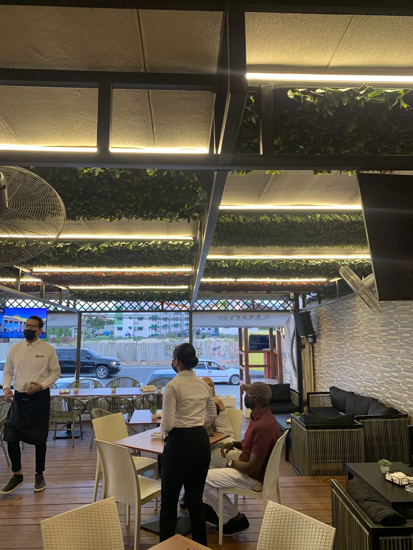 Techo Verde Artificial