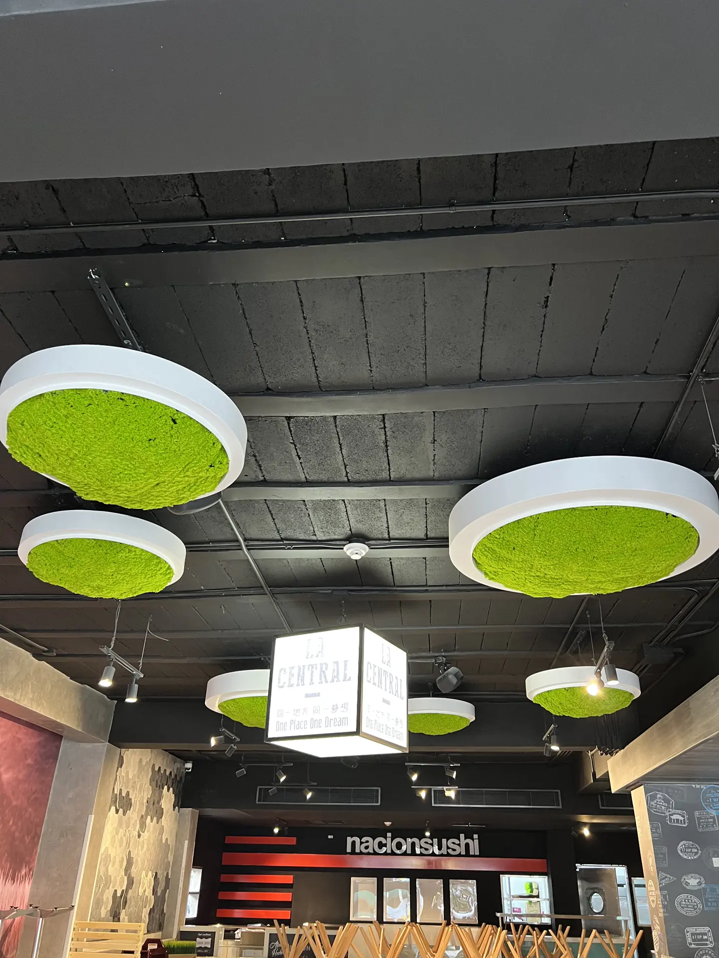 Techo Verde Artificial Musgo Preservado