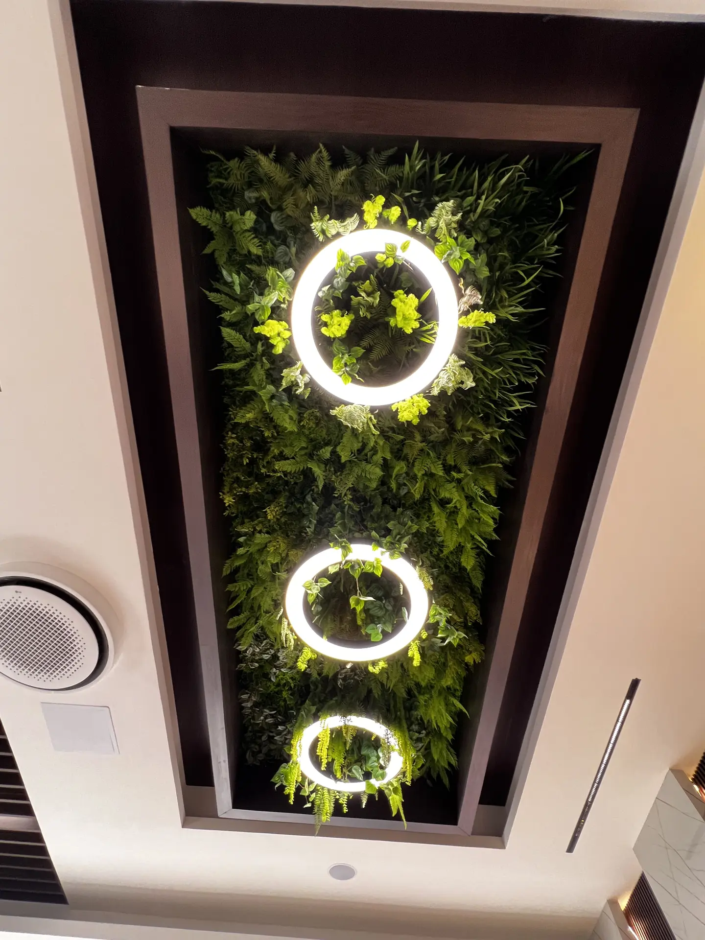 Techo Verde Artificial