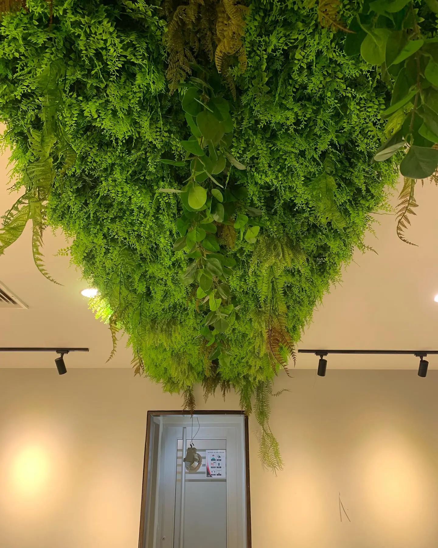 Techo Verde Artificial