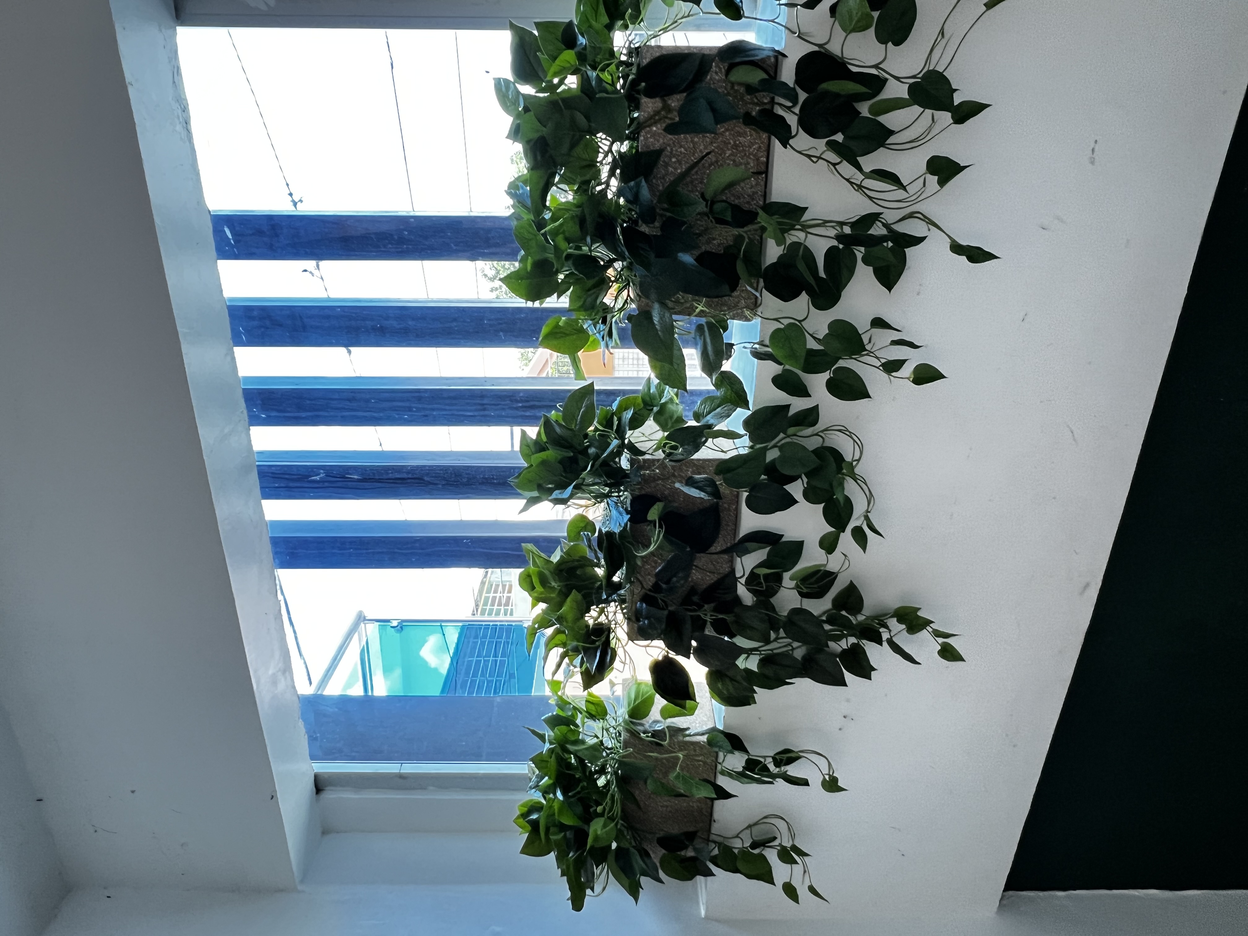 Paisajismo Natural General