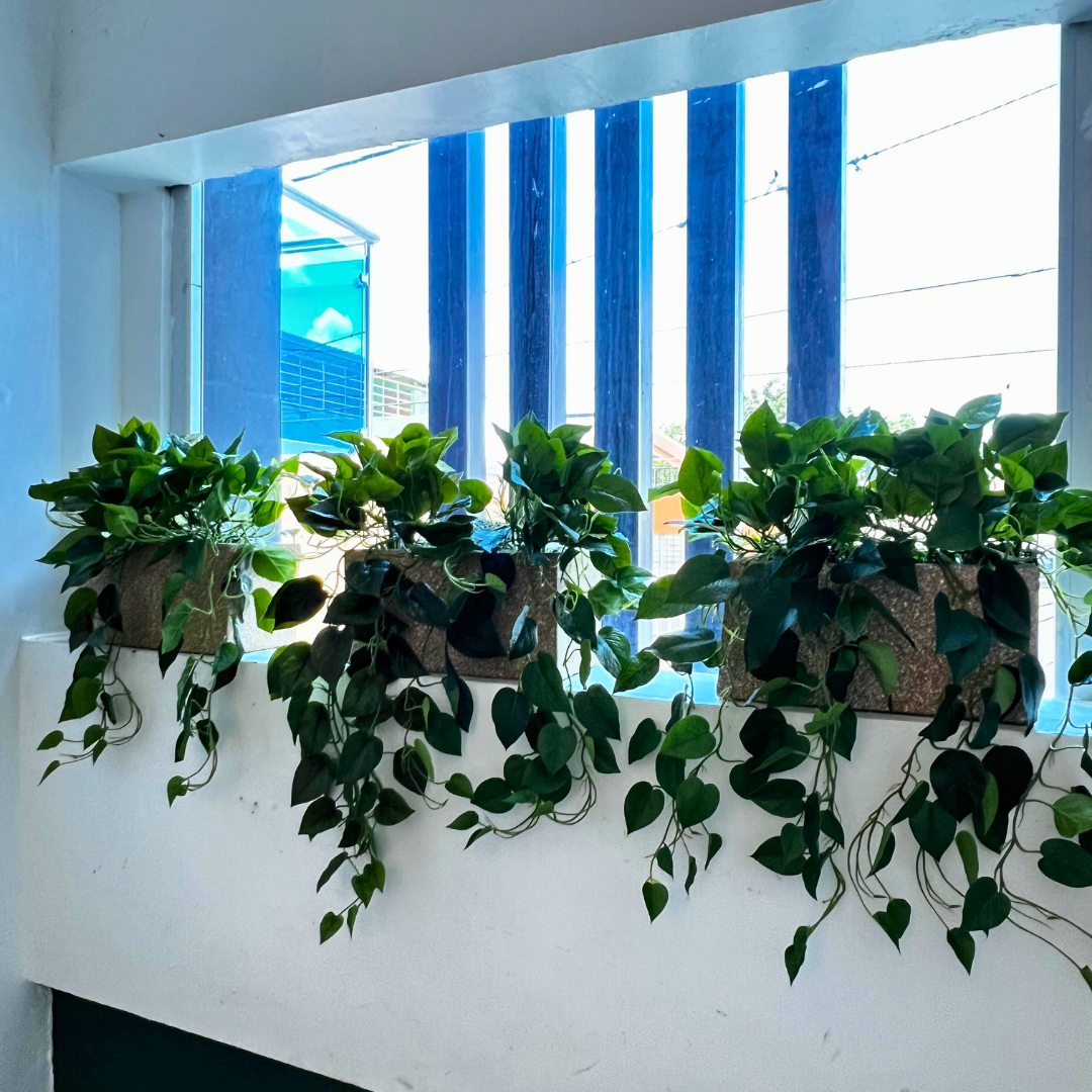 Decoracion Verde Variada Maceteros