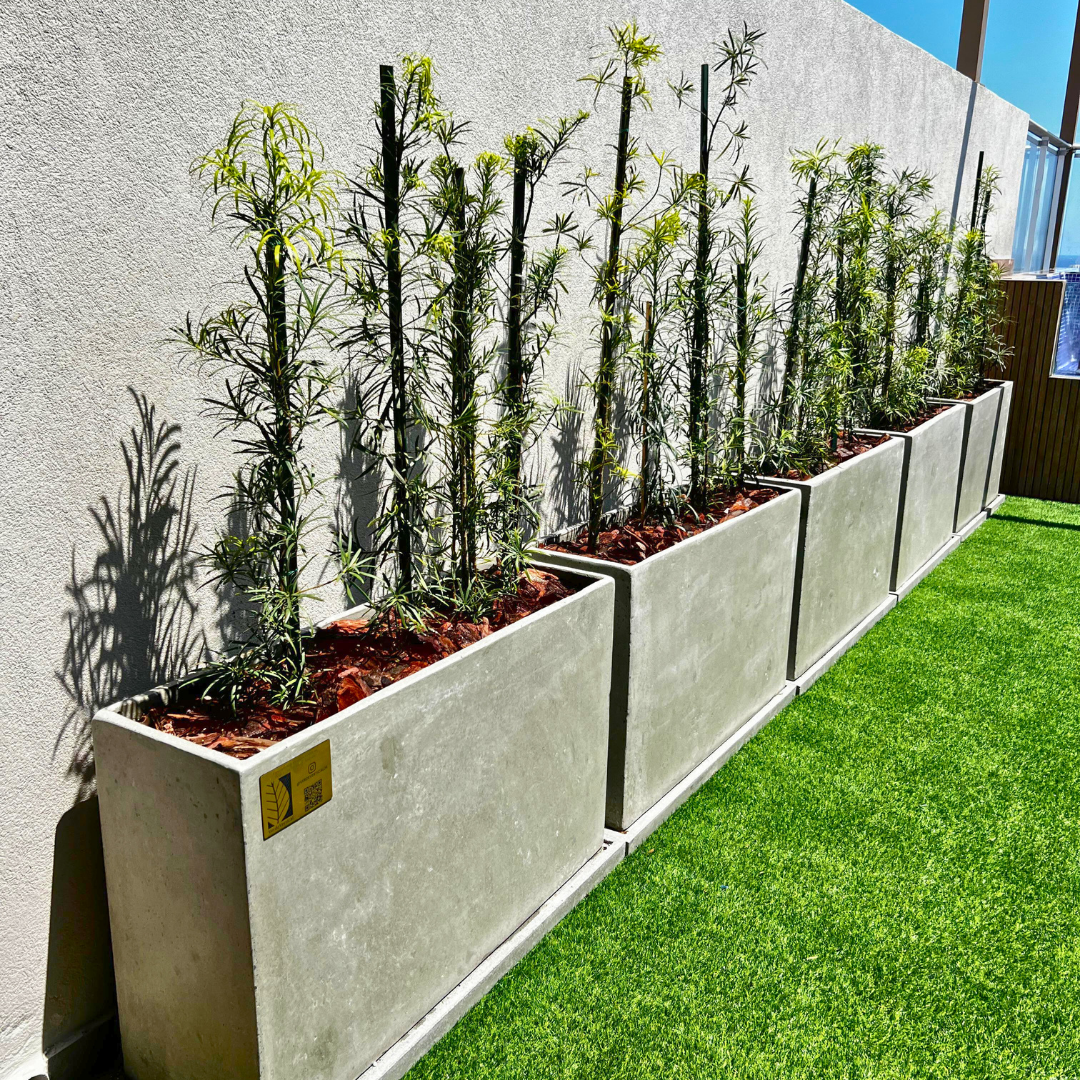 Decoracion Verde Variada Jardin Natural Maceteros de Cemento