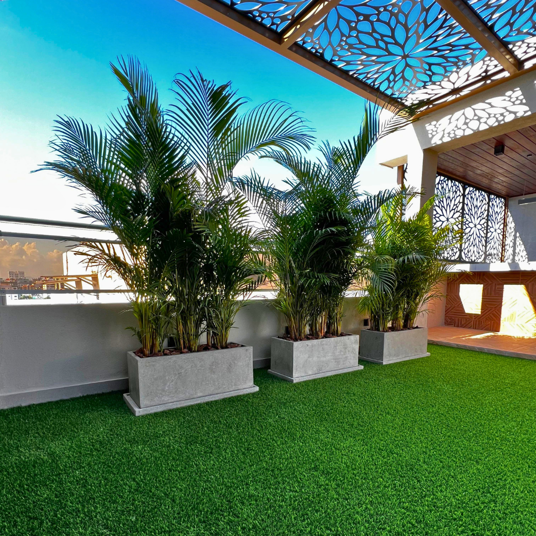 Decoracion Verde Variada Macetero de Cemento