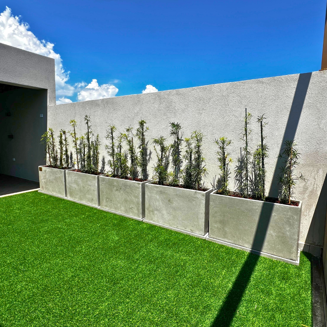 Decoracion Verde Variada Macetero de Cemento