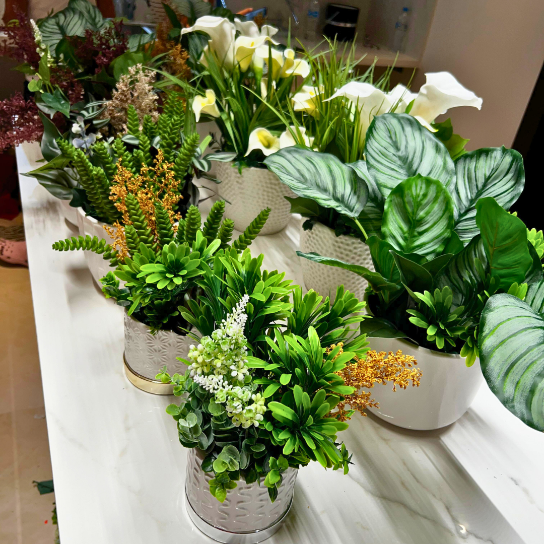 Decoracion Verde Variada Maceteros