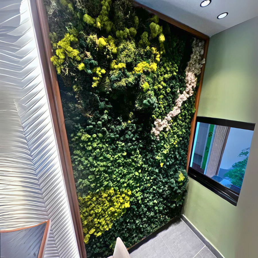 Jardín Vertical Natural Musgo Preservado