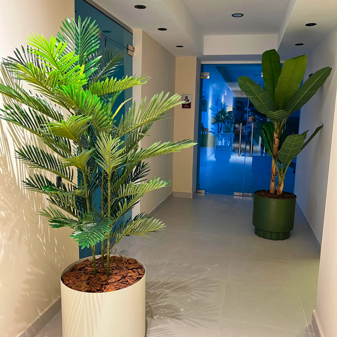 Decoracion Verde Variada Maceteros