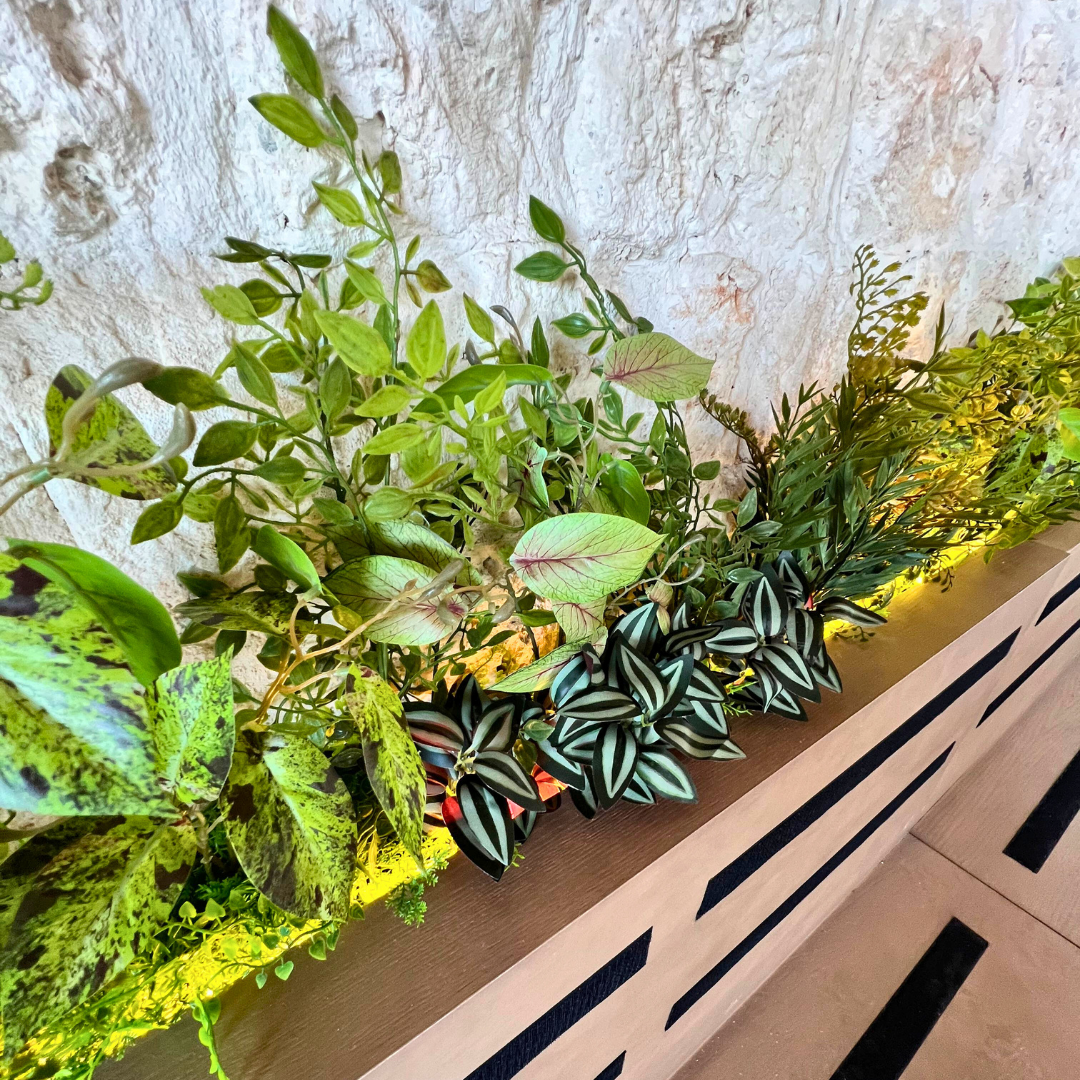 Decoracion Verde Variada en Mueble