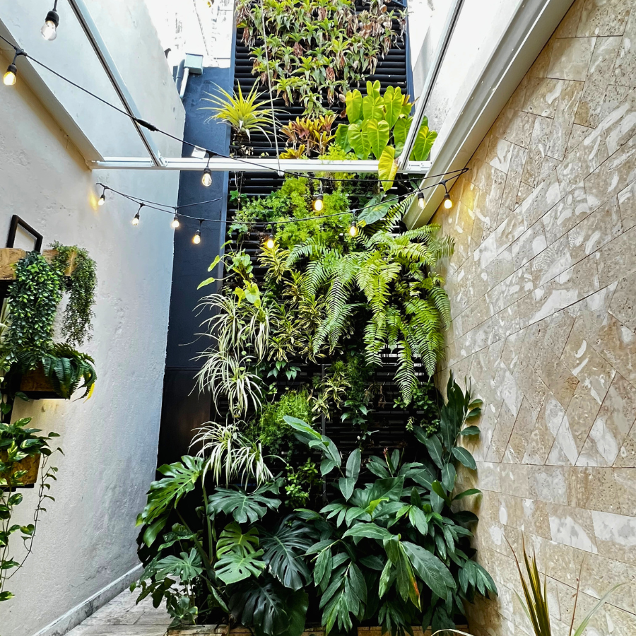 Jardín Vertical Natural