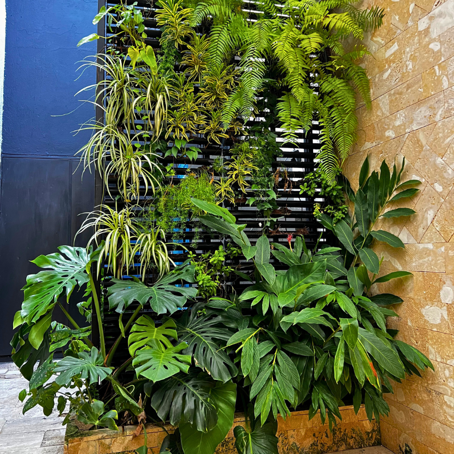 Jardín Vertical Natural