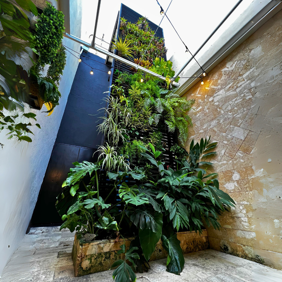 Jardín Vertical Natural