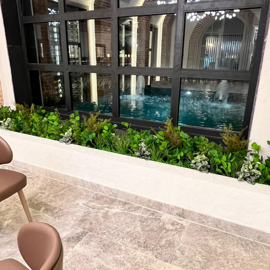 Decoracion Verde Variada en Macetero de Cemento