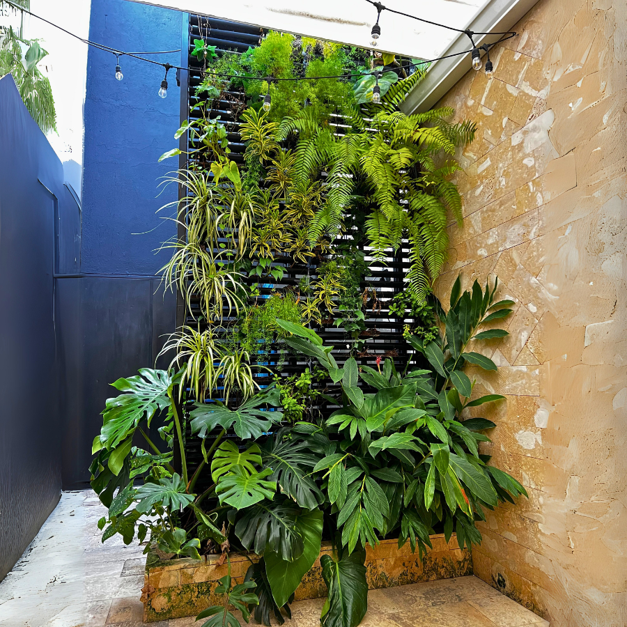 Jardín Vertical Natural