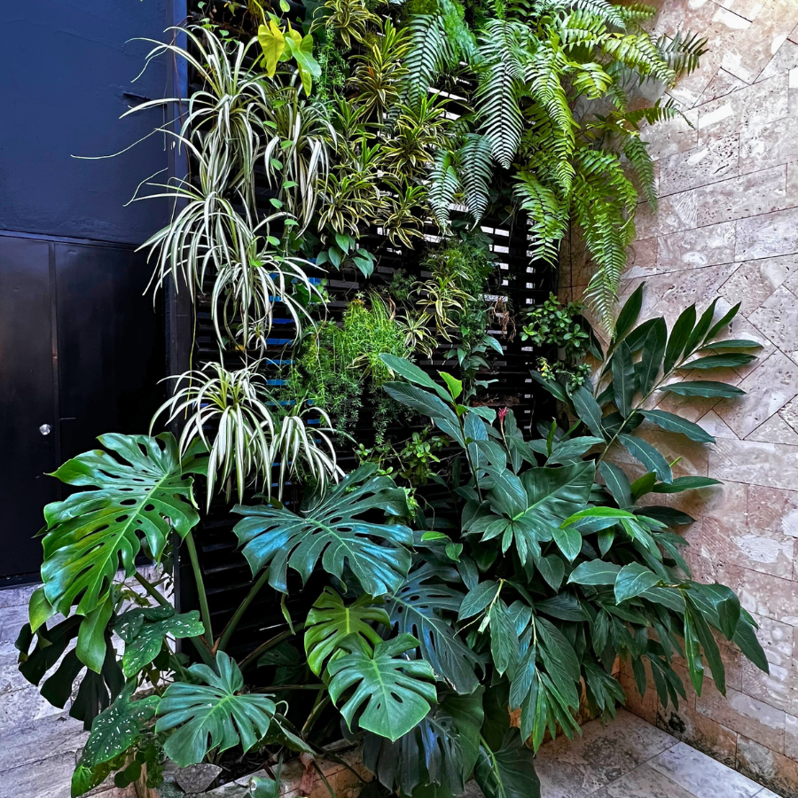 Jardín Vertical Natural