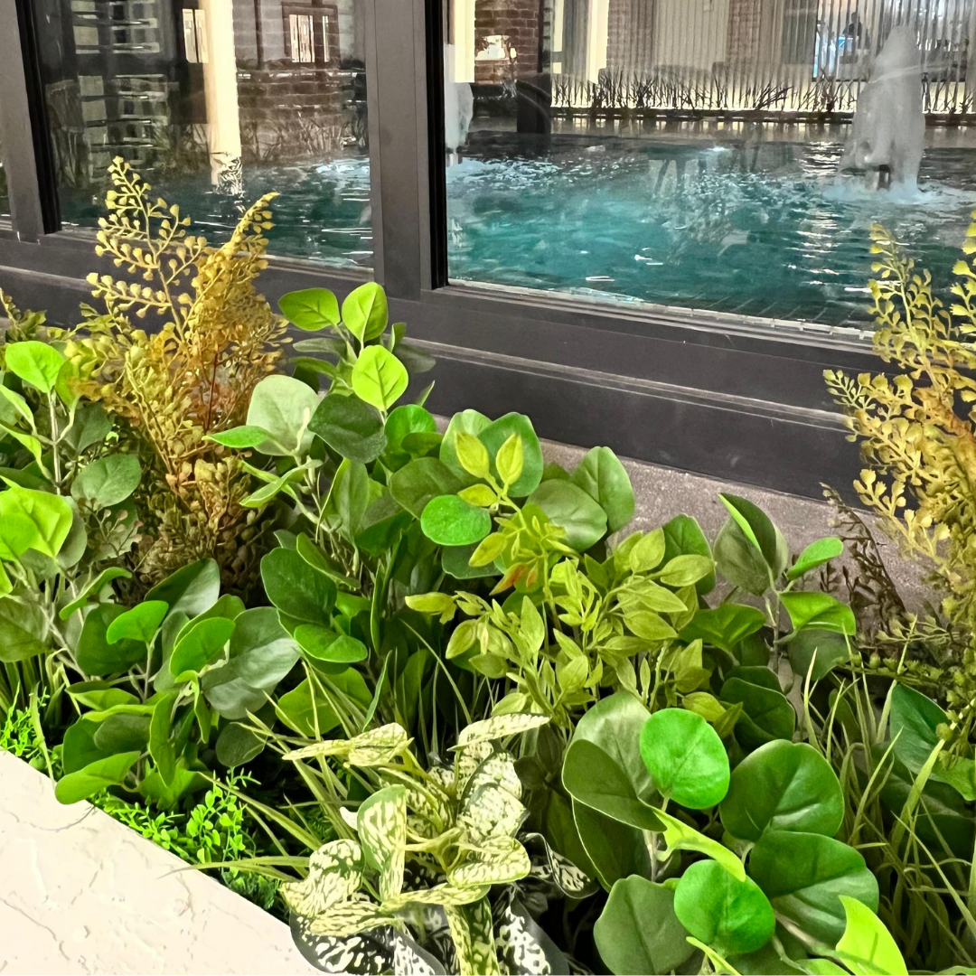 Decoracion Verde Variada en Macetero de Cemento