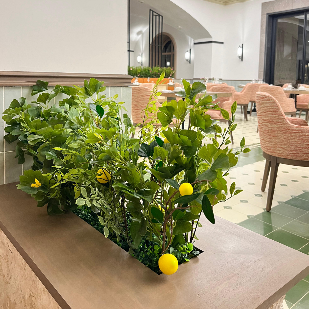 Decoracion Verde Variada Mueble