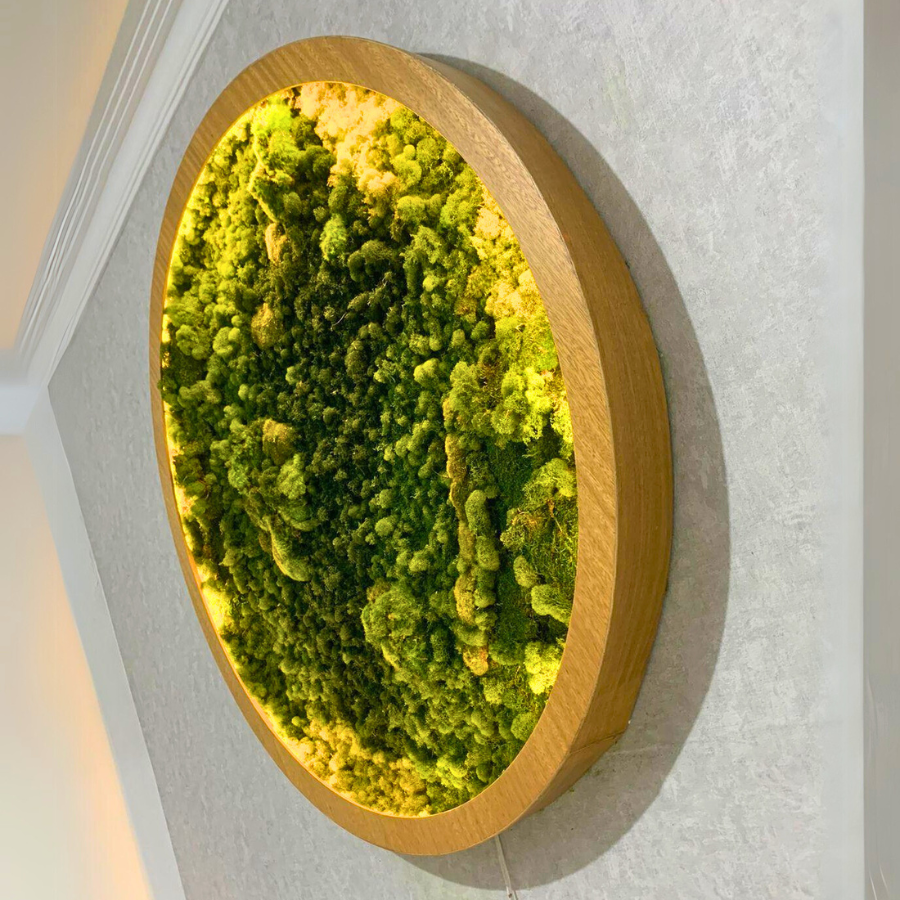 Jardín Vertical Natural Musgo Preservado